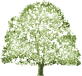 Castanea Immobilien